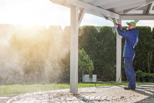 Best Spring Cleaning  in Jonesboro, IL